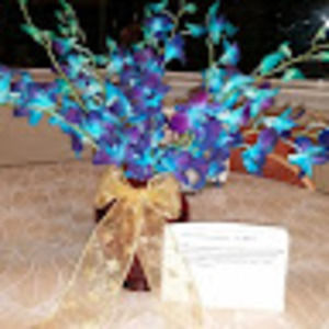 Meet your Posher, Maria